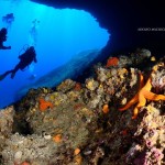 Leila Diving - Capo Figari | Adolfo Maciocco Photography