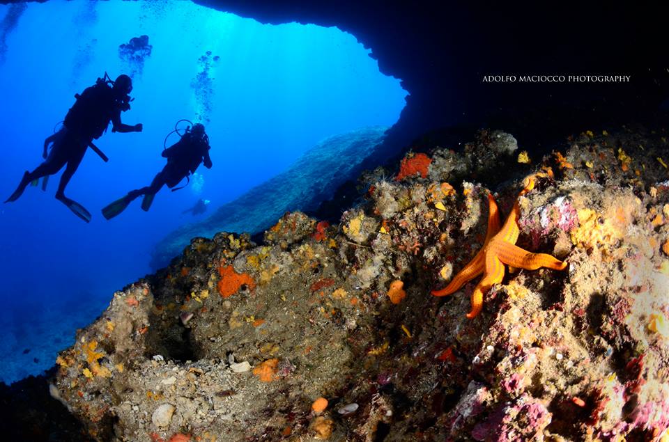 foto Immersioni ad Tavolara con Leila Diving