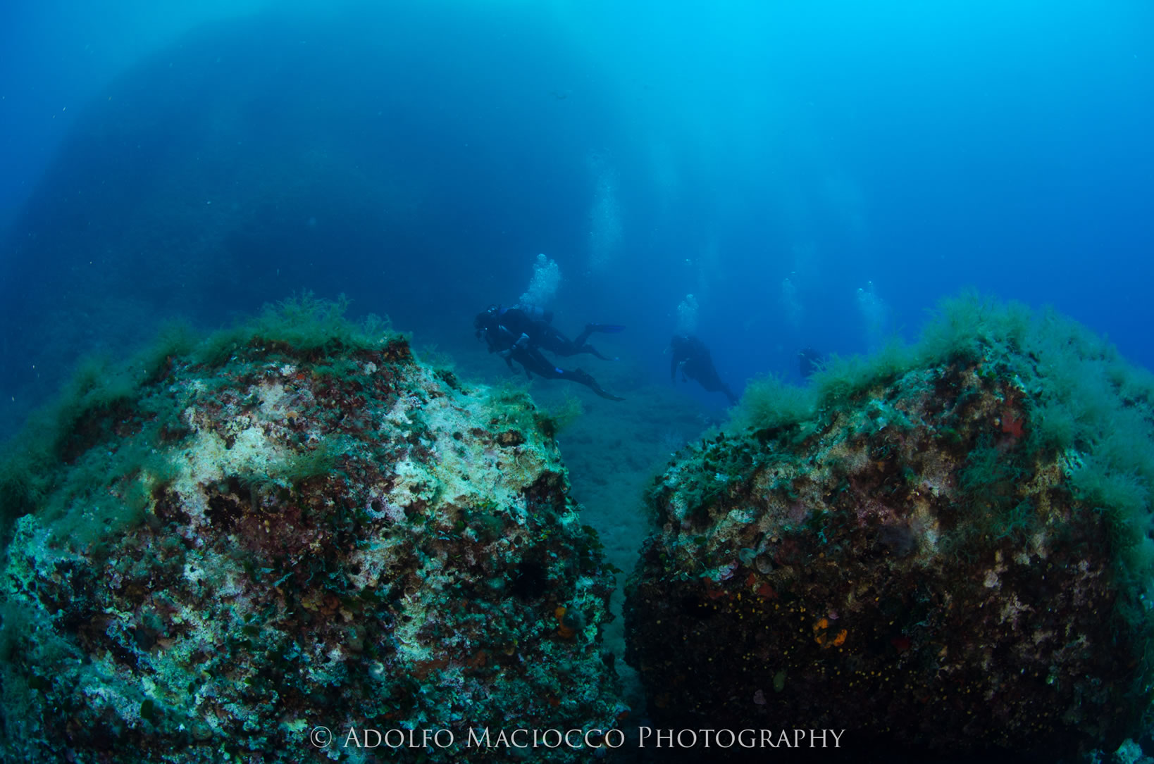 foto Immersioni ad Tavolara con Leila Diving