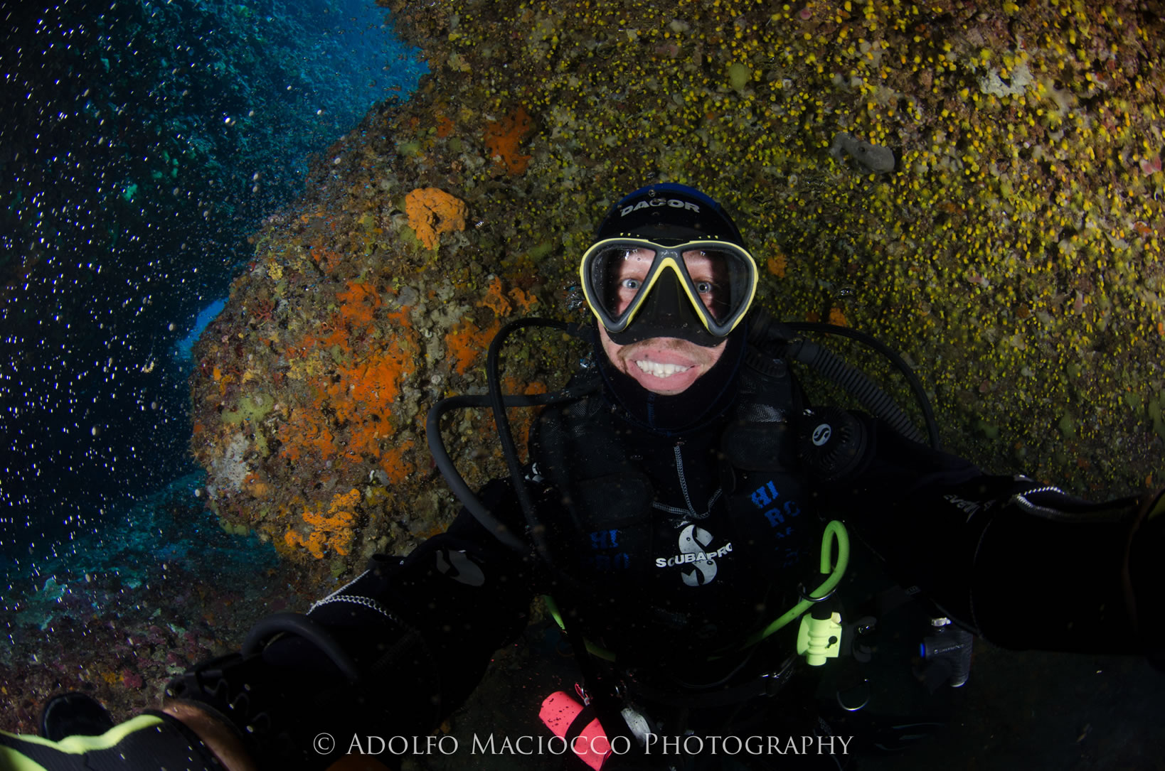 foto Immersioni ad Tavolara con Leila Diving